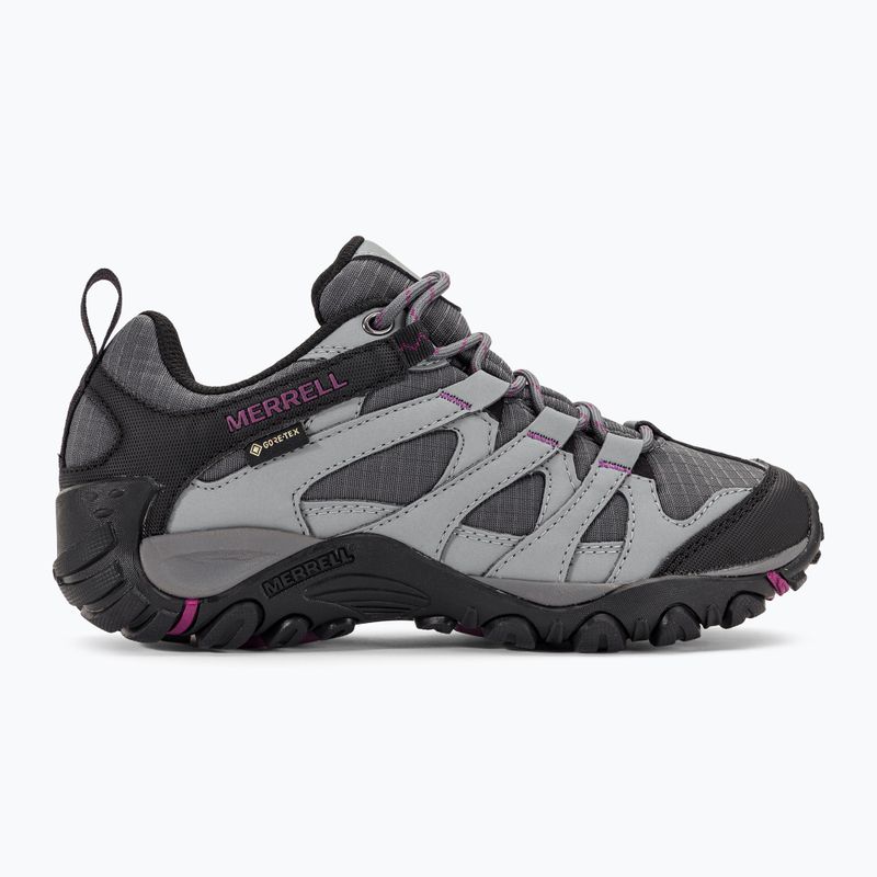 Жіночі туристичні черевики Merrell Claypool Sport GTX пам'ятник/шовковиця 2