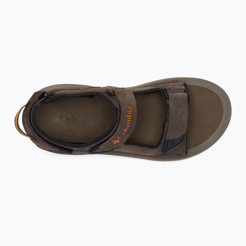 Трекінгові сандалі чоловічі Columbia Trailstorm Hiker 3 Strap cordovan/gold amber 16