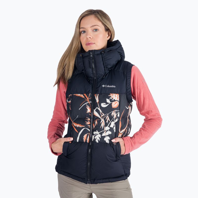 Безрукавка трекінгова жіноча Columbia Pike Lake II Insulated black/black fallgrass print