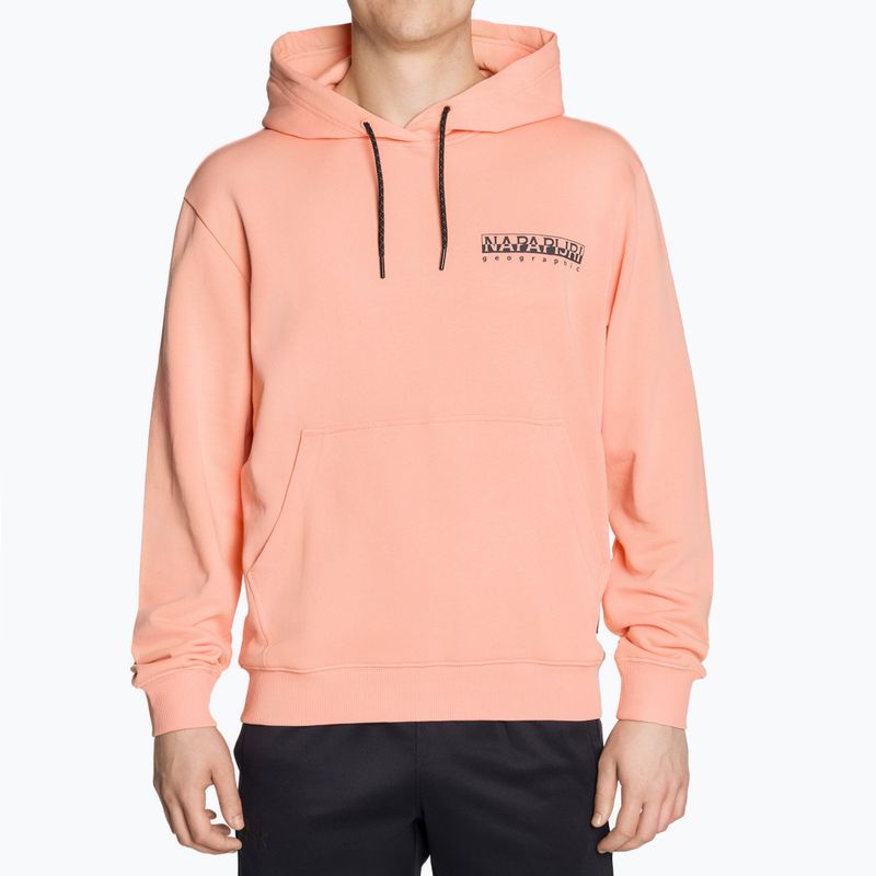 Кофта чоловіча Napapijri B-Boyd H pink salmon 2