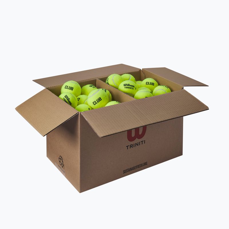 М'ячі тенісні Wilson Trinity Club 72 шт. yellow 2
