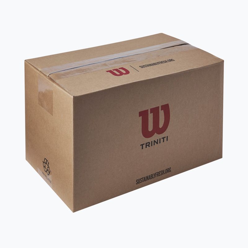 Тенісні м’ячі Wilson Trinity Club 72 шт. жовті 4