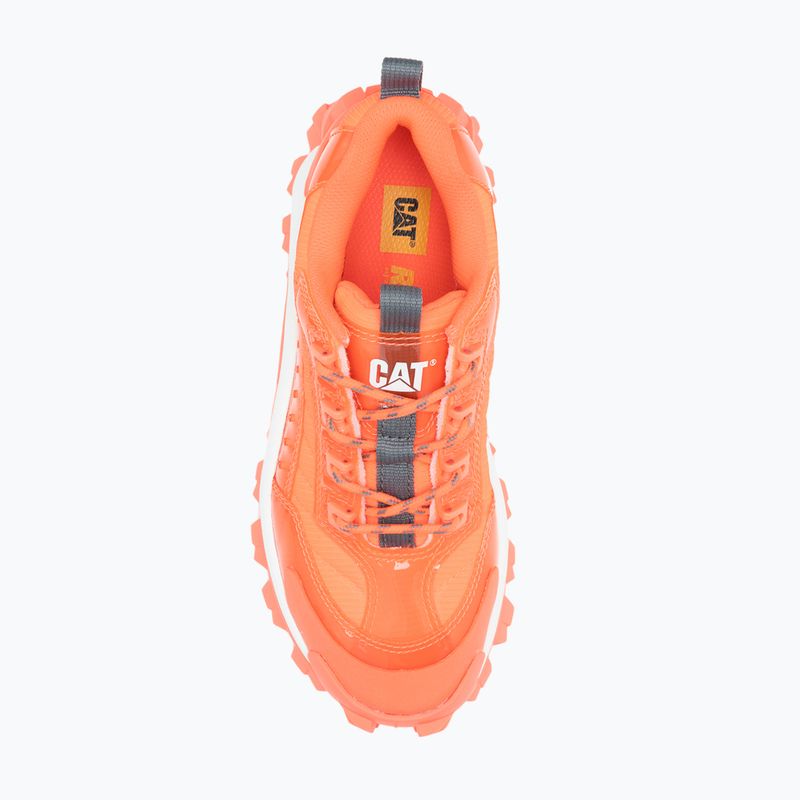 Черевики чоловічі CATerpillar Intr Ignite fiery coral 12