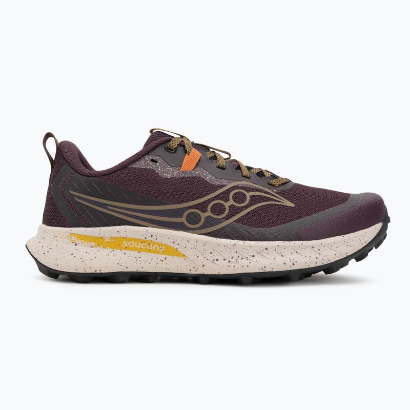 Кросівки для бігу чоловічі Saucony Peregine 15 wine/kodiak 2