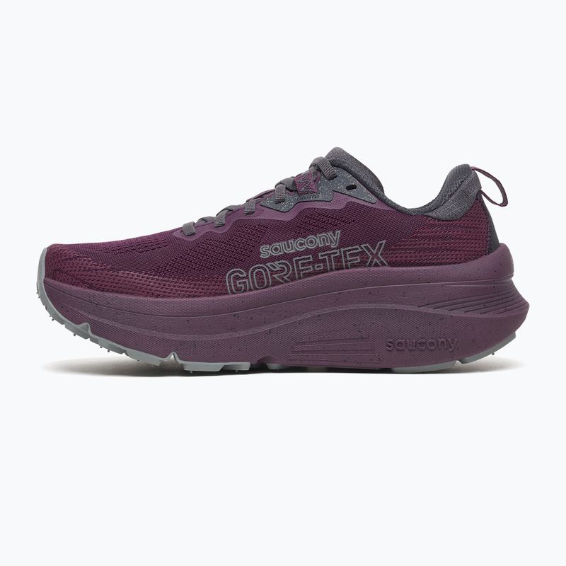 Кросівки для бігу жіночі Saucony Guide Tr Gtx eggplant 2