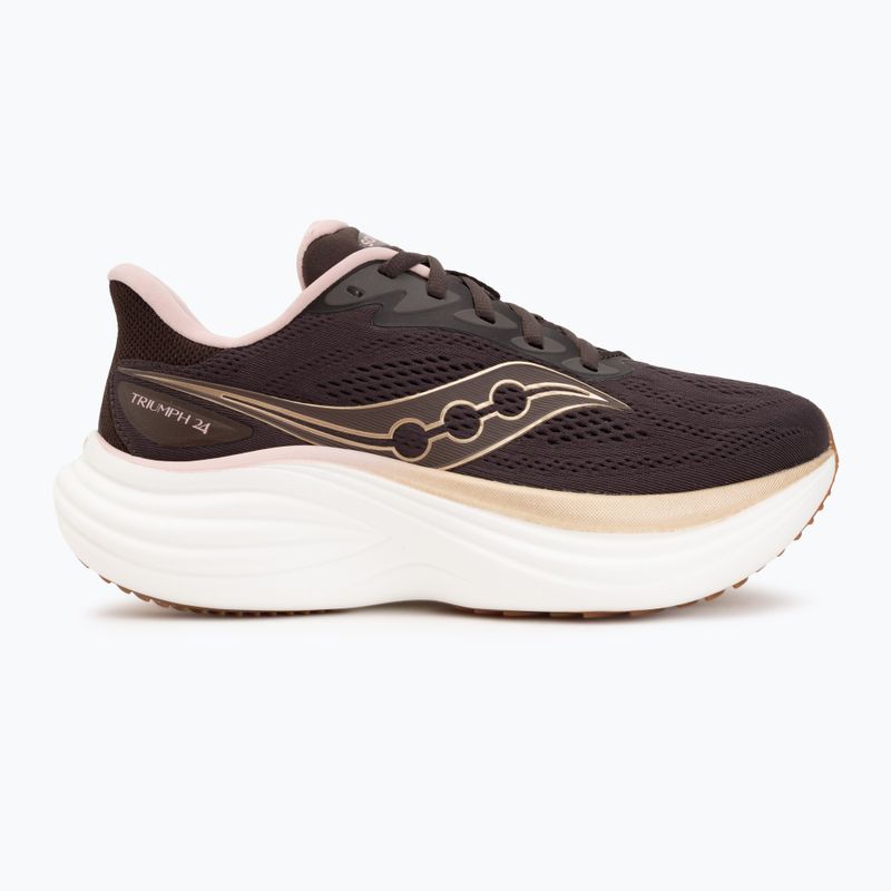 Кросівки для бігу жіночі Saucony Triumph 24 torte/touch 2
