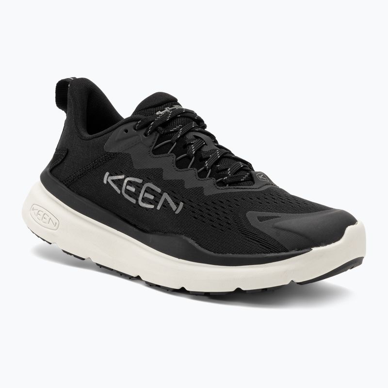 Черевики чоловічі KEEN WK450 black/star white