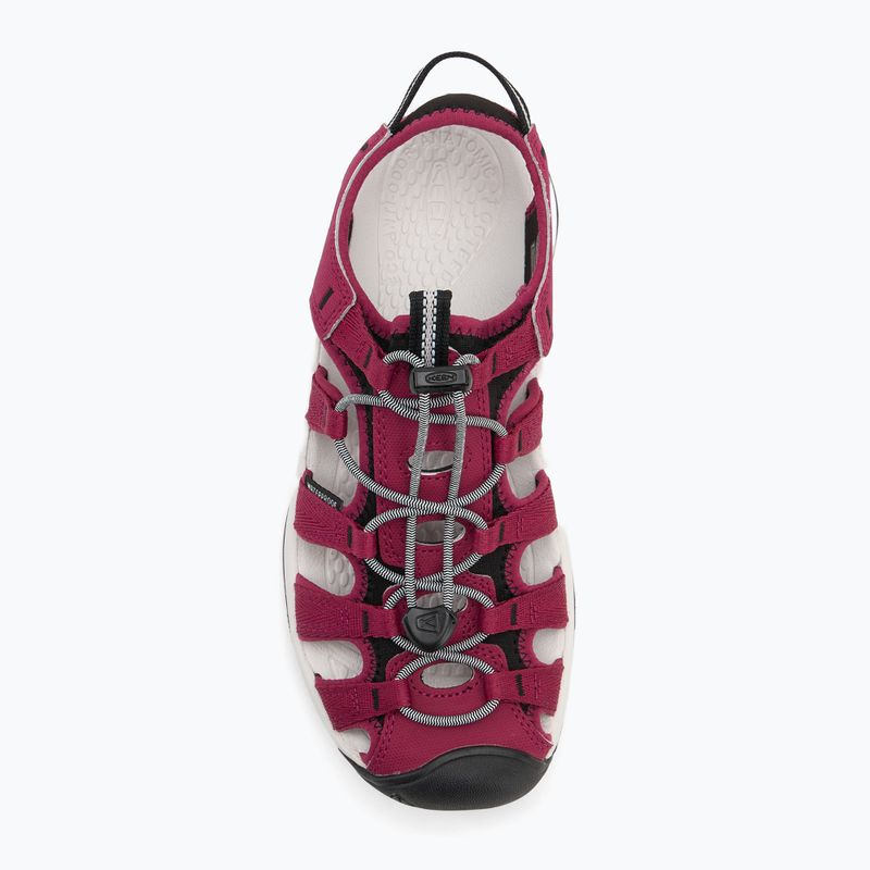 Сандалі жіночі KEEN Astoria West beaujolais/star white 5