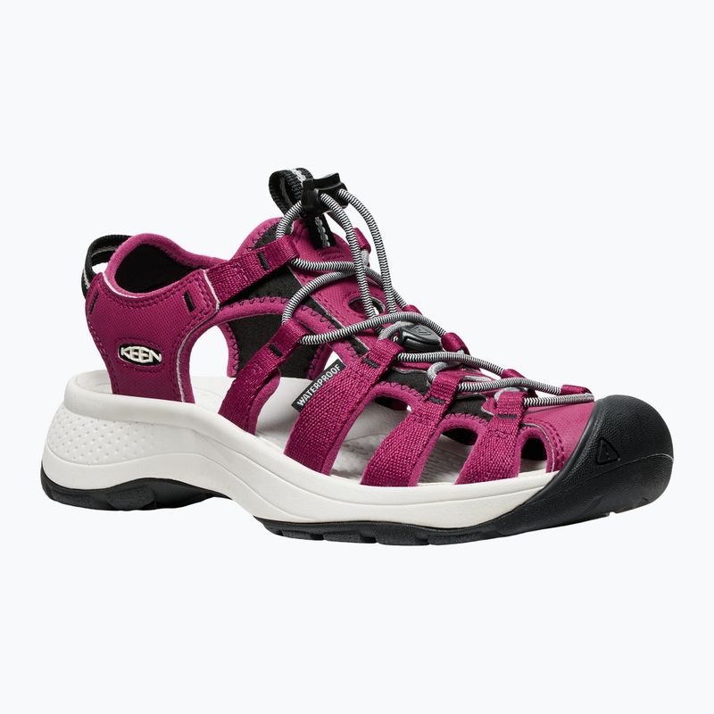 Сандалі жіночі KEEN Astoria West beaujolais/star white