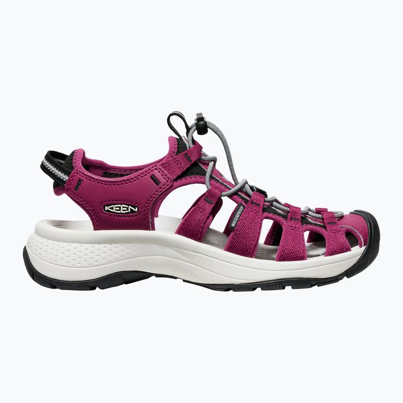Сандалі жіночі KEEN Astoria West beaujolais/star white 2