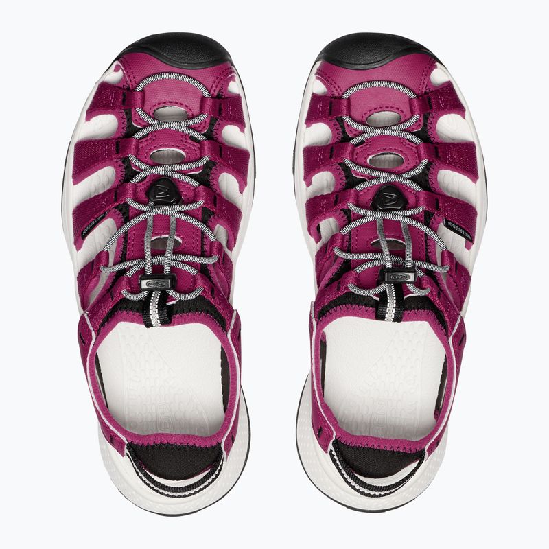 Сандалі жіночі KEEN Astoria West beaujolais/star white 5
