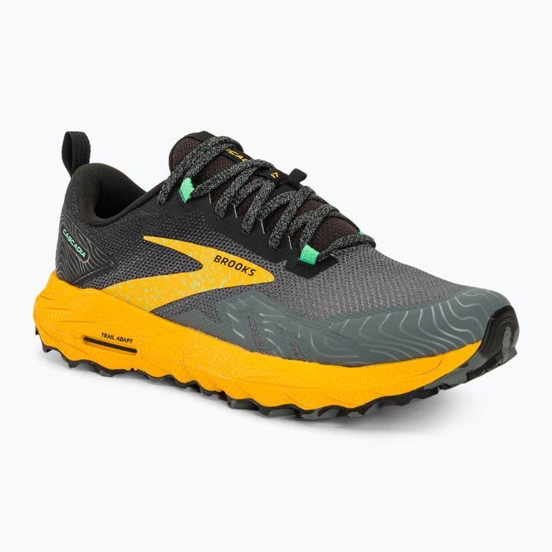 Черевики для бігу чоловічі Brooks Cascadia 17 lemon chrome/sedona sage