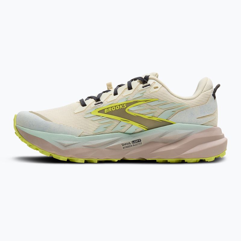 Кросівки для бігу жіночі Brooks Cascadia 19 coconut/misty blue/ebony 3