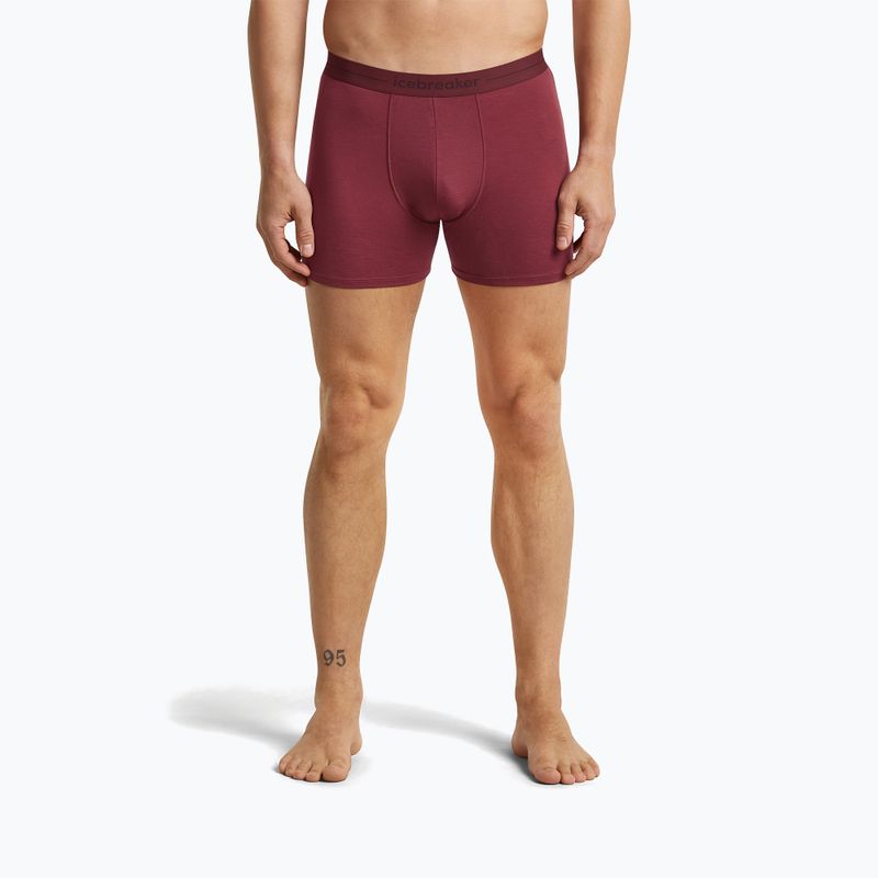 Боксери термоактивні чоловічі icebreaker Anatomica Boxers port 2