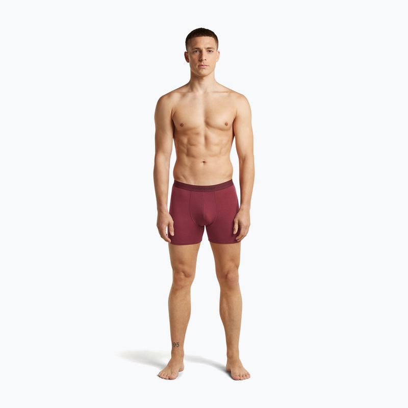 Боксери термоактивні чоловічі icebreaker Anatomica Boxers port 3