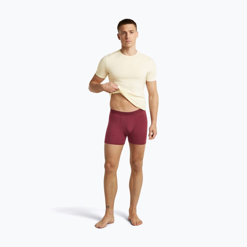 Боксери термоактивні чоловічі icebreaker Anatomica Boxers port 5