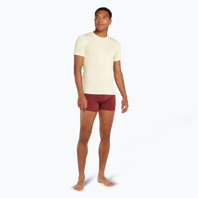 Футболка трекінгова чоловіча icebreaker Anatomica Crewe undyed 2