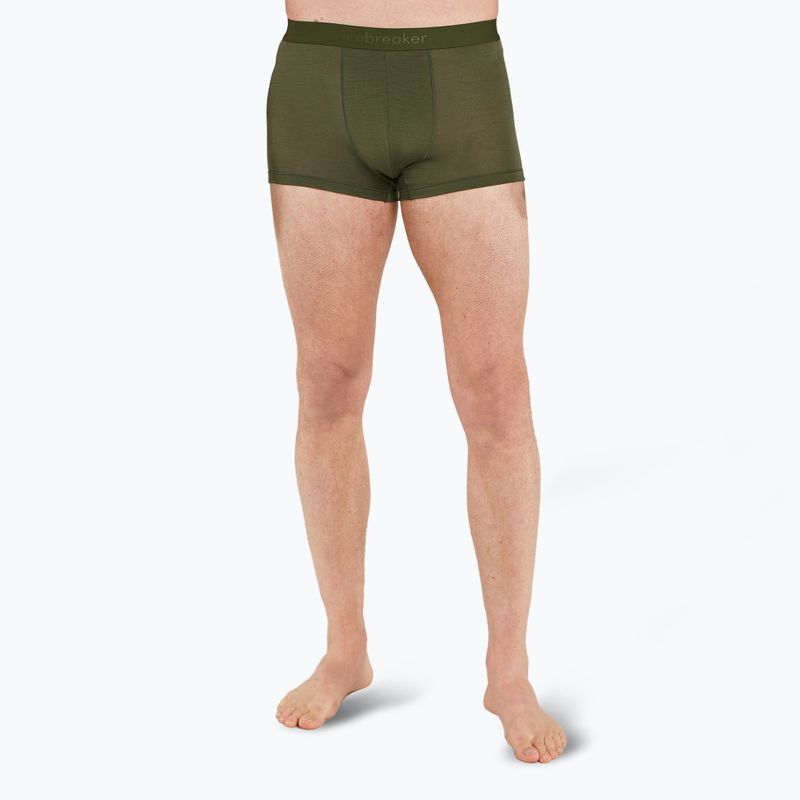 Чоловічі термошорти-боксер криголам Merino 125 Cool-Lite Anatomica Trunks loden 2