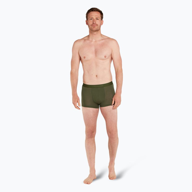 Чоловічі термошорти-боксер криголам Merino 125 Cool-Lite Anatomica Trunks loden 3