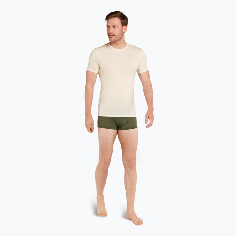 Чоловічі термошорти-боксер криголам Merino 125 Cool-Lite Anatomica Trunks loden 5