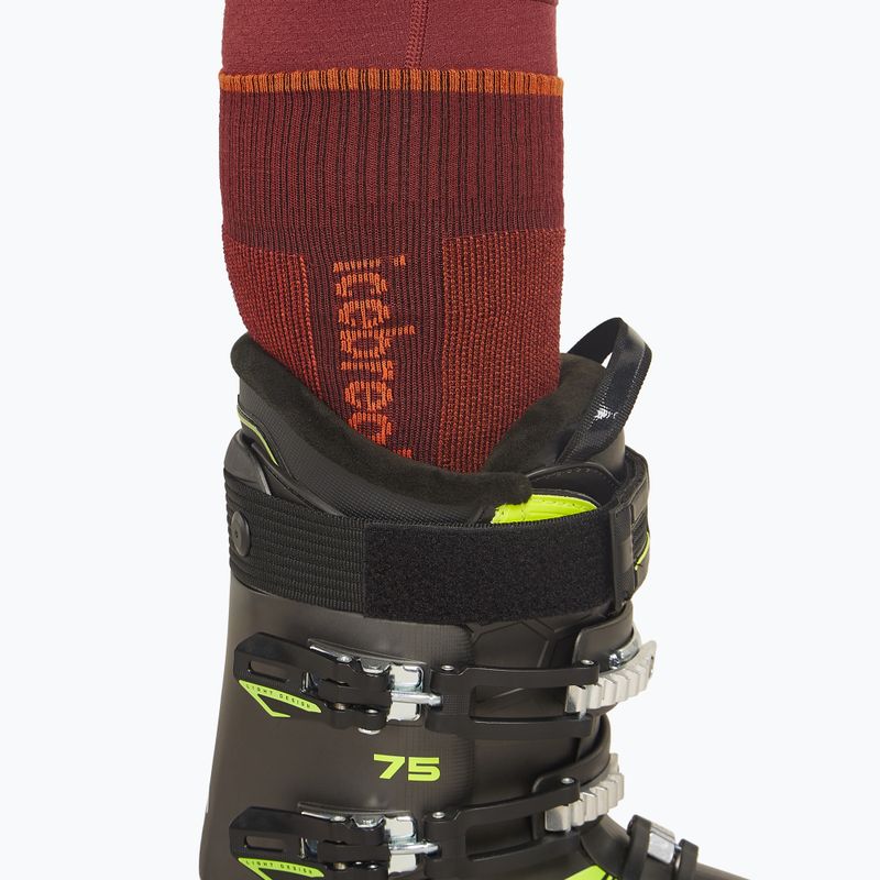 Шкарпетки лижні чоловічі icebreaker Merino Ski+ Medium OTC port/blaze/cedar wood 4