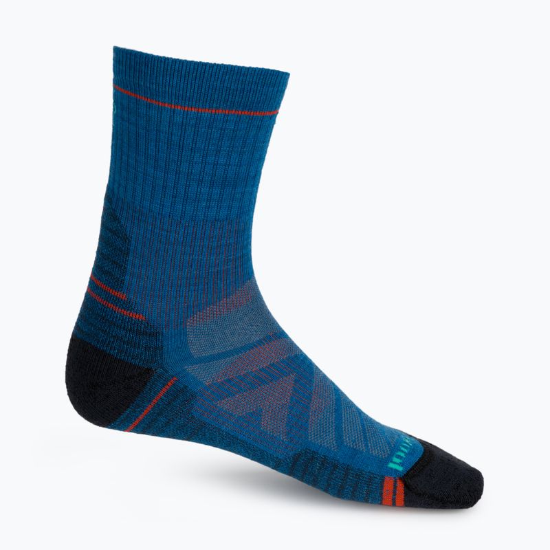 Шкарпетки для трекінгу Smartwool Performance Hike Light Cushion Mid Crew 3