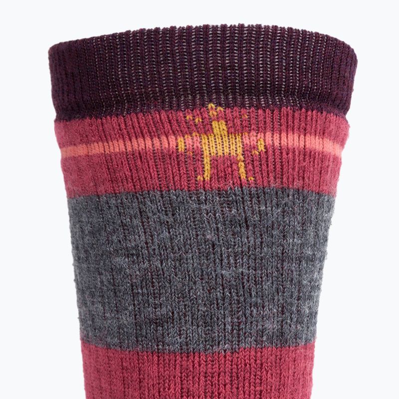Шкарпетки для трекінгу Smartwool Hike Full Cushion Saturnsphere Crew bordeaux SW001584591 3