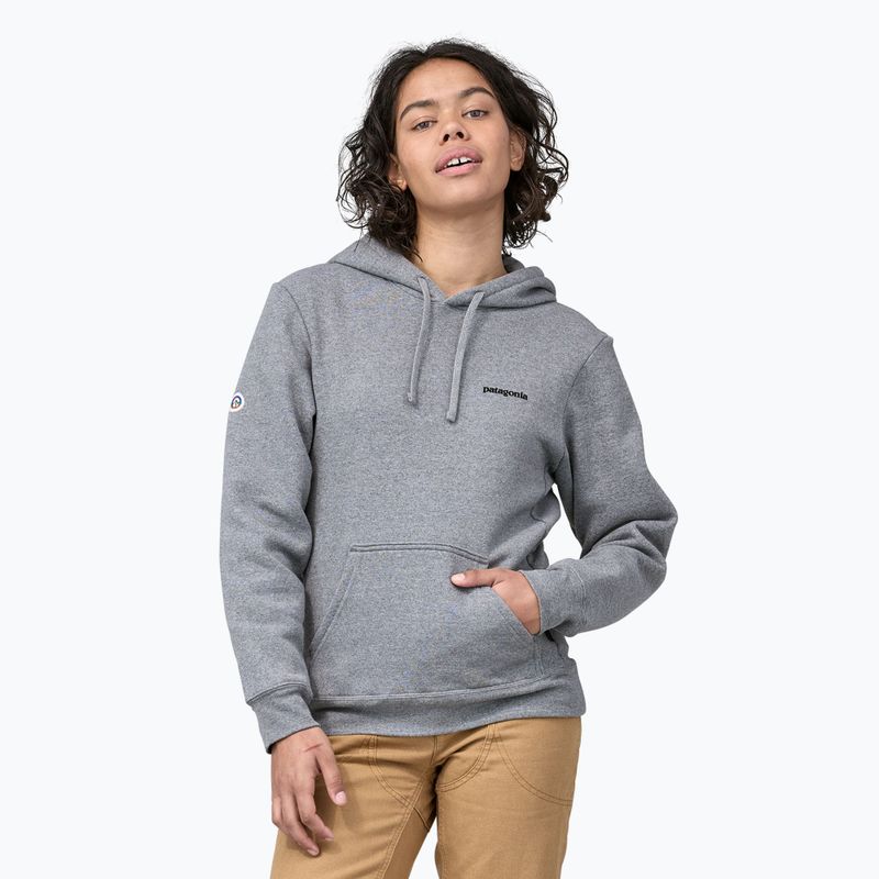 Кофта Patagonia Fitz Roy Icon Uprisal Hoody gravel heather 5