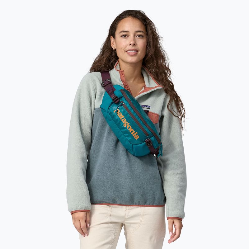 Бананка Patagonia Black Hole Waist Pack 5 л 8
