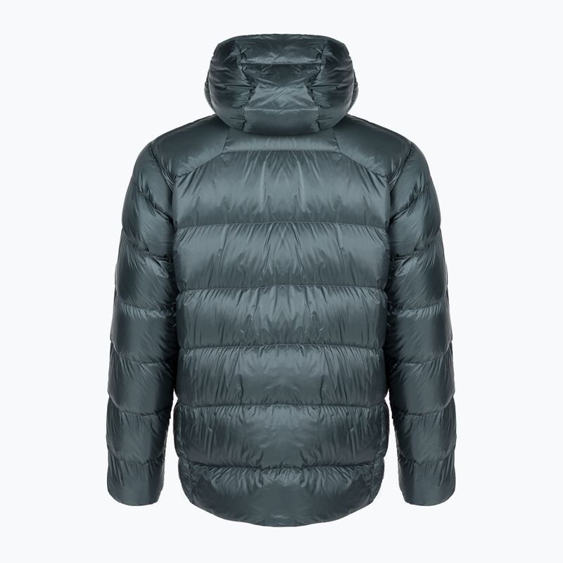 Пуховик чоловічий Patagonia Fitz Roy Down Hoody nouveau green 2