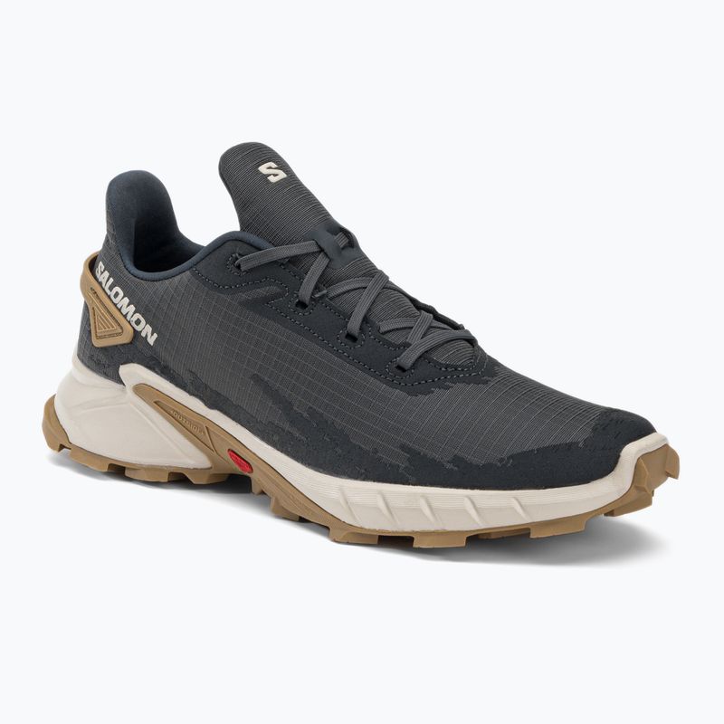 Кросівки для бігу чоловічі Salomon Alphacross 4 ebony/rainy day/phantm