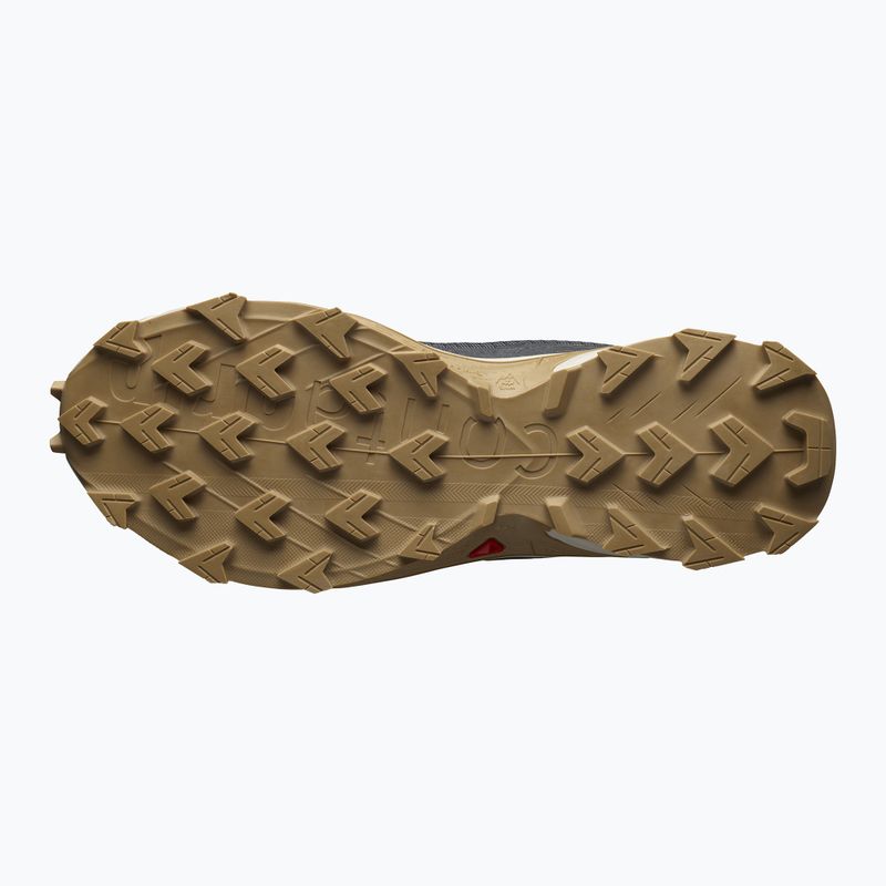 Кросівки для бігу чоловічі Salomon Alphacross 4 ebony/rainy day/phantm 16