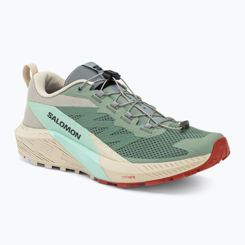 Кросівки для бігу чоловічі Salomon Sense Ride 5 Lily Pad/Rainy Day/Bleached Aqua L47211700