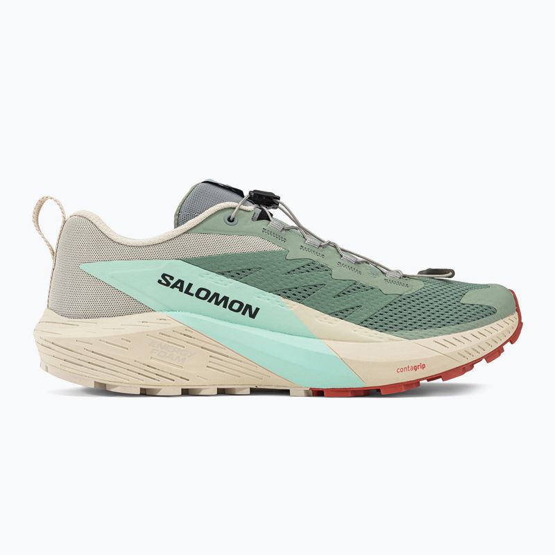 Кросівки для бігу чоловічі Salomon Sense Ride 5 Lily Pad/Rainy Day/Bleached Aqua L47211700 2