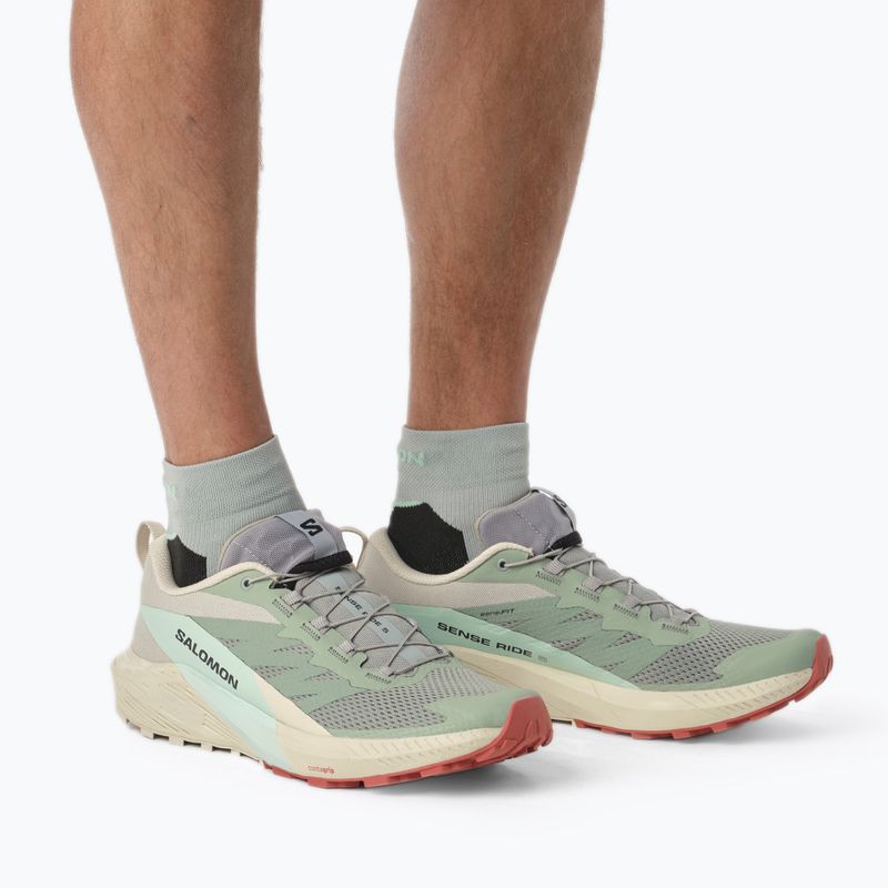 Кросівки для бігу чоловічі Salomon Sense Ride 5 Lily Pad/Rainy Day/Bleached Aqua L47211700 13