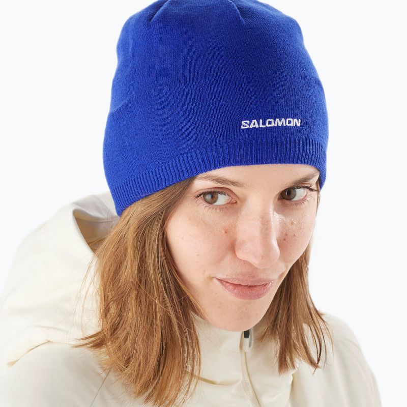Шапка Salomon Beanie surf the web 2