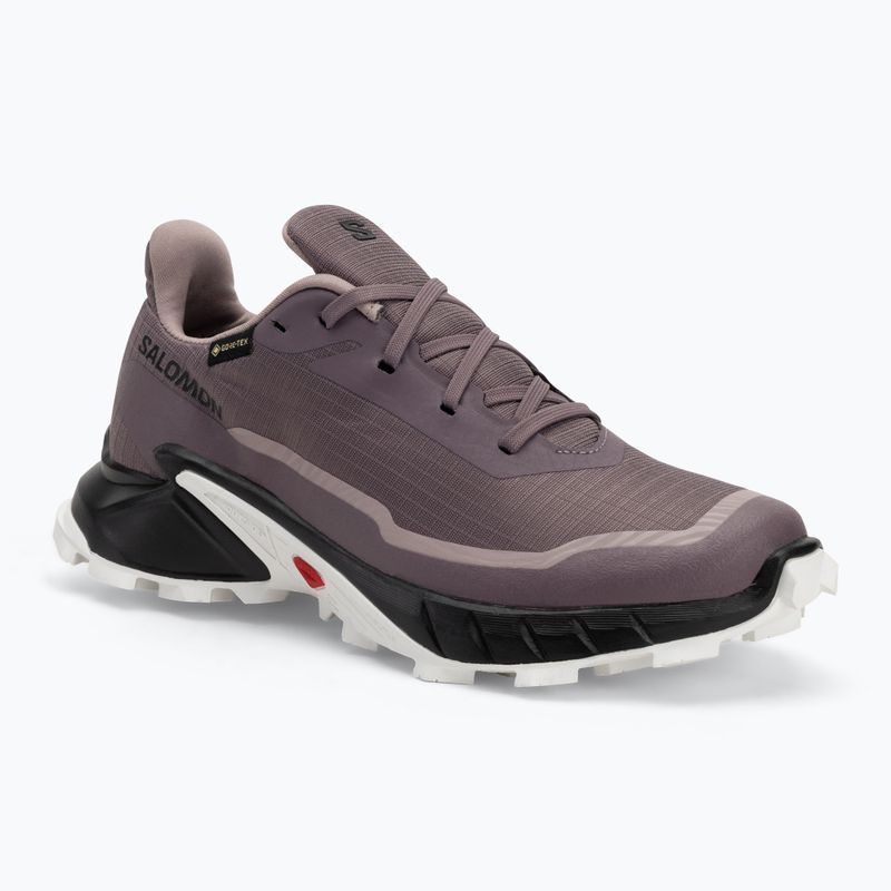 Кросівки для бігу жіночі Salomon Alphacross 5 GTX moonscape/black/white