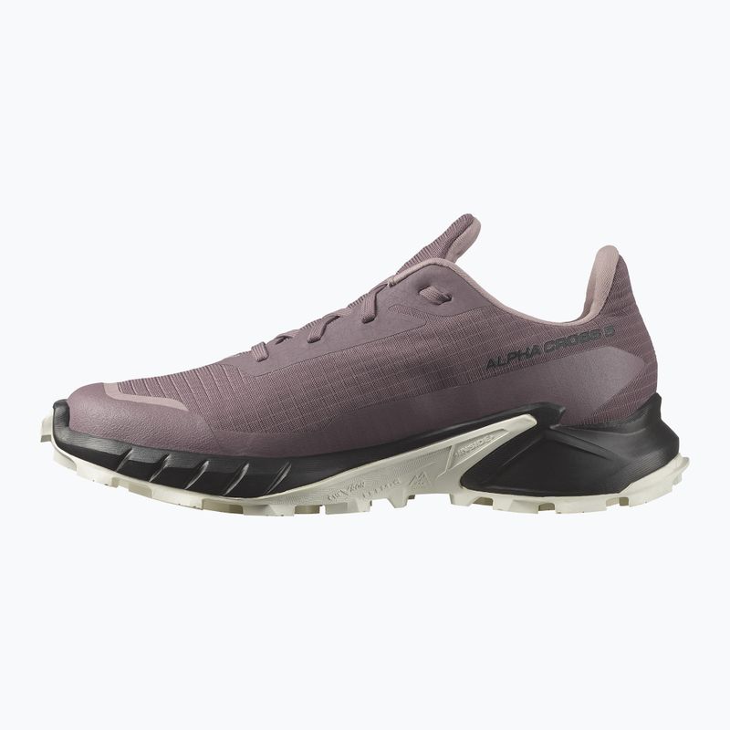 Кросівки для бігу жіночі Salomon Alphacross 5 GTX moonscape/black/white 9