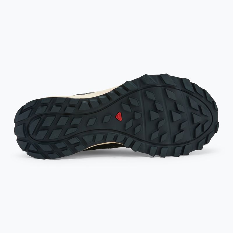 Кросівки для бігу чоловічі Salomon Wander carbon/india ink/almond buff 4