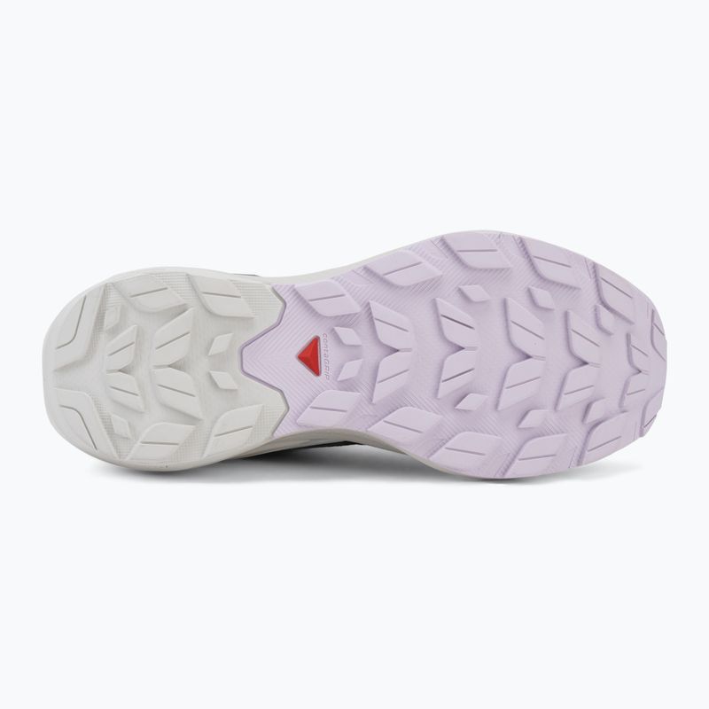 Кросівки туристичні жіночі Salomon Elixir Activ GTX shskin/glacier gray/opetal 4