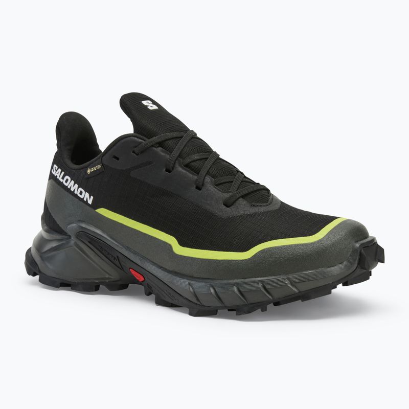Кросівки для бігу чоловічі Salomon Alphacross 5 GTX black/peat/sulphur spring