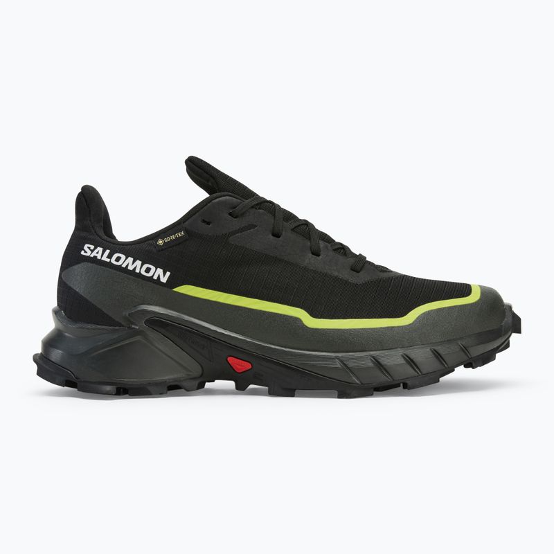 Кросівки для бігу чоловічі Salomon Alphacross 5 GTX black/peat/sulphur spring 2