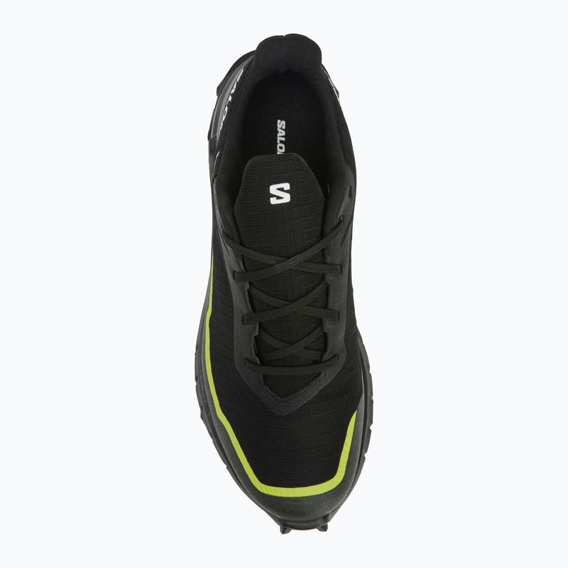 Кросівки для бігу чоловічі Salomon Alphacross 5 GTX black/peat/sulphur spring 5