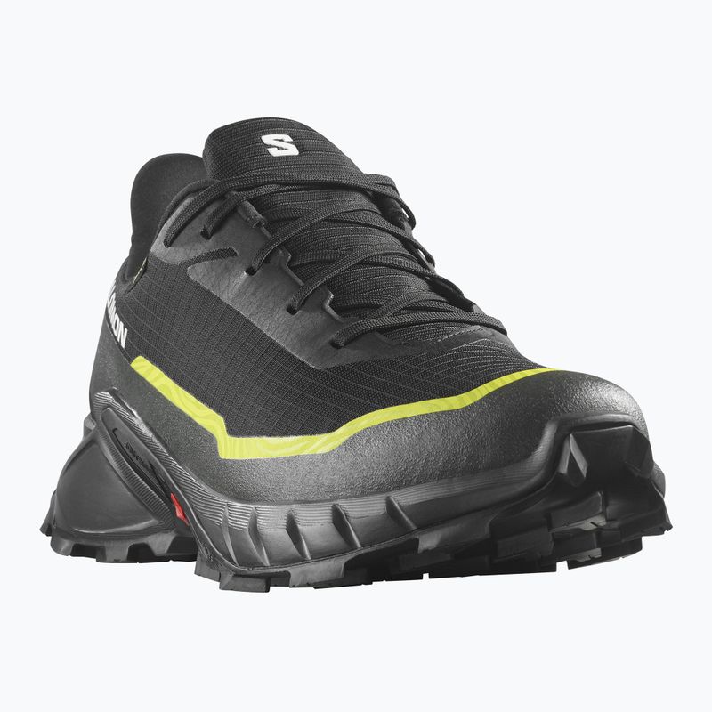 Кросівки для бігу чоловічі Salomon Alphacross 5 GTX black/peat/sulphur spring 8