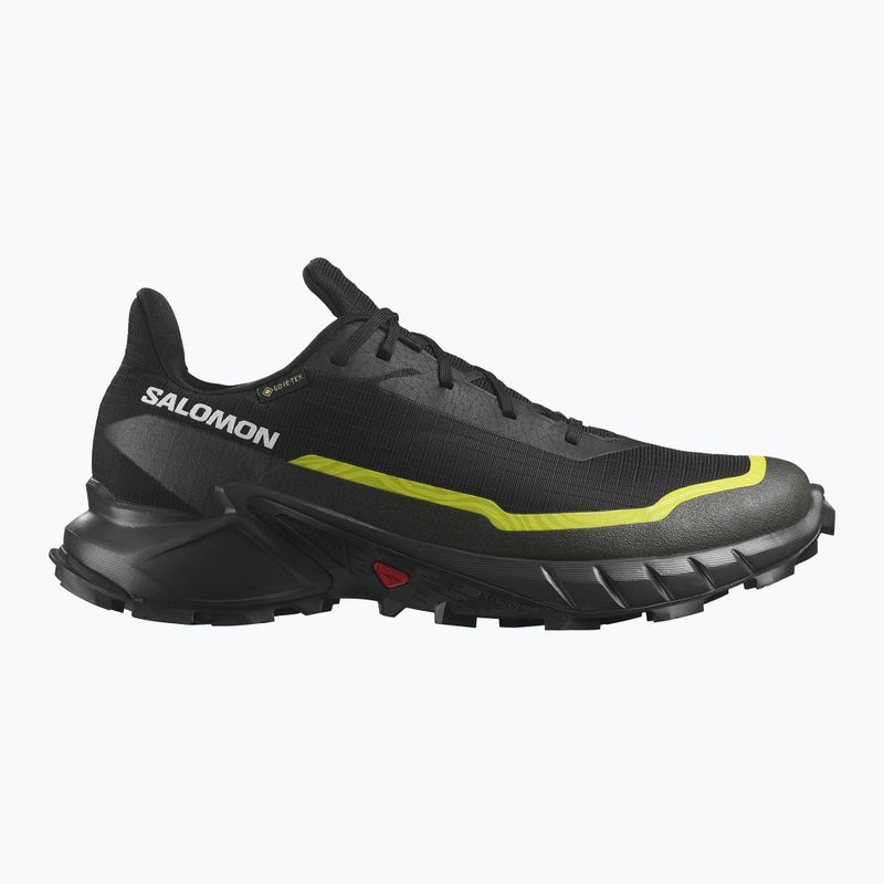 Кросівки для бігу чоловічі Salomon Alphacross 5 GTX black/peat/sulphur spring 9