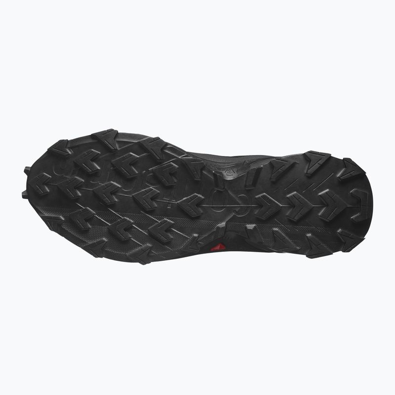 Кросівки для бігу чоловічі Salomon Alphacross 5 GTX black/peat/sulphur spring 10
