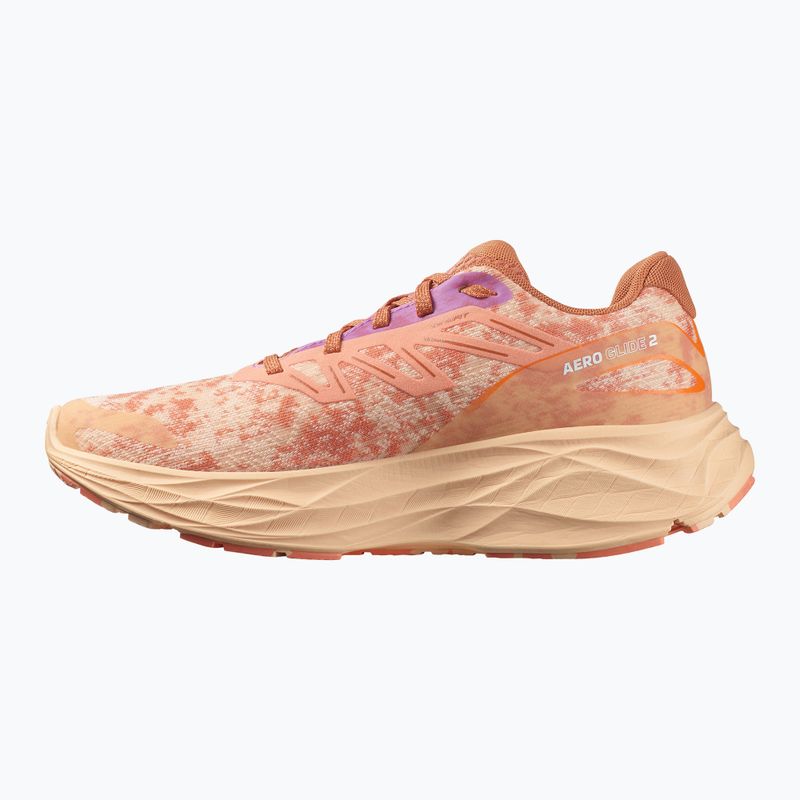 Жіночі кросівки Salomon Aero Glide 2 spice route/персиковий кварц/свіжий лосось 10