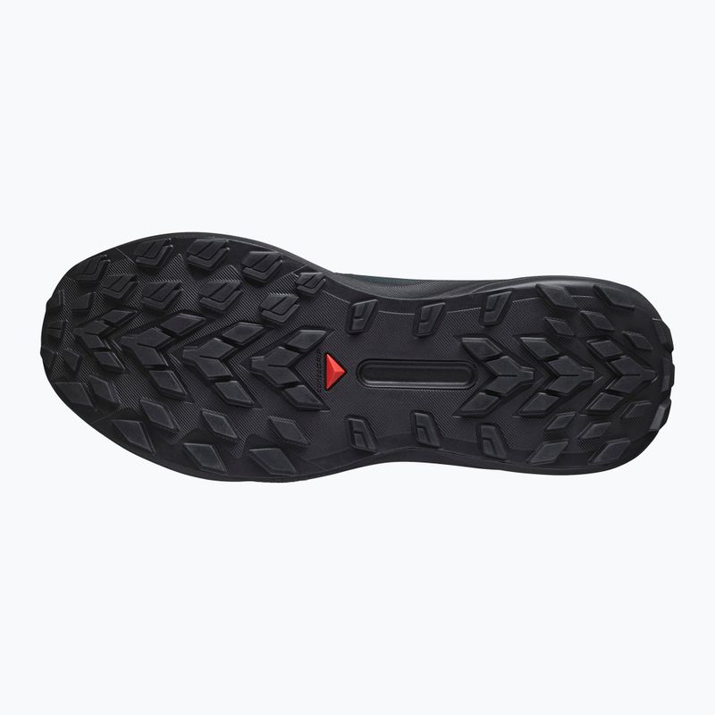 Кросівки для бігу чоловічі Salomon Genesis GTX black/agave green/urban chic 12