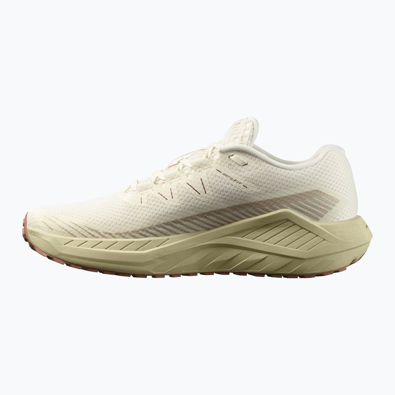 Кросівки для бігу чоловічі Salomon Thundercross asphalt/sharkskin/spray 9