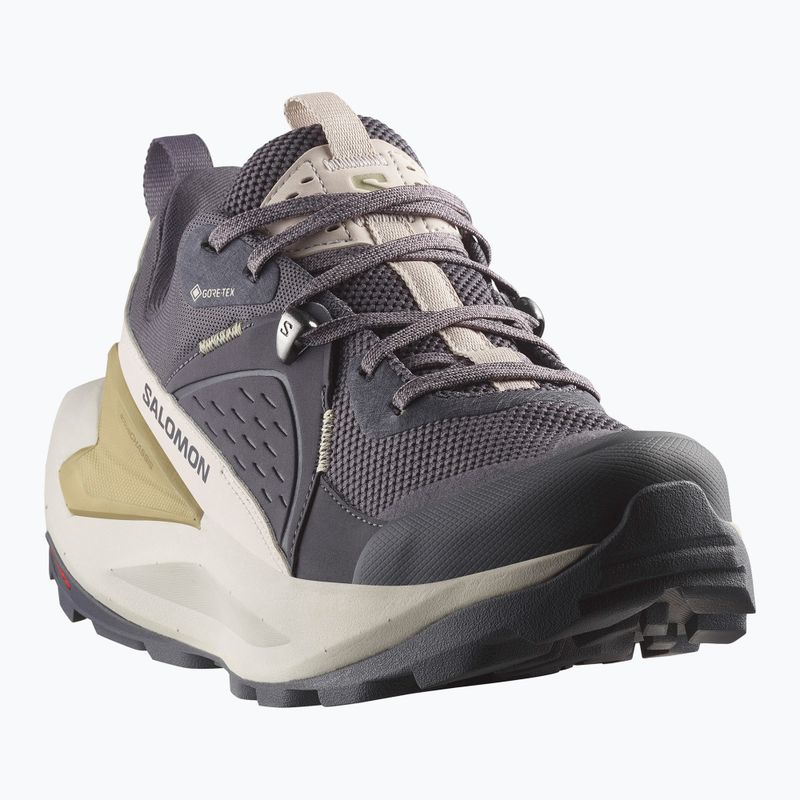 Жіночі туристичні черевики Salomon Elixir GTX 9 дев'ять залізо/срібна хмара/губка 8